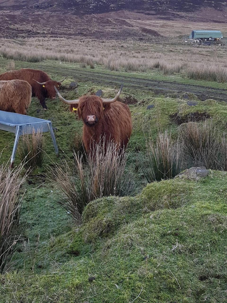 Trotternish B&B Kingsburgh 外观 照片